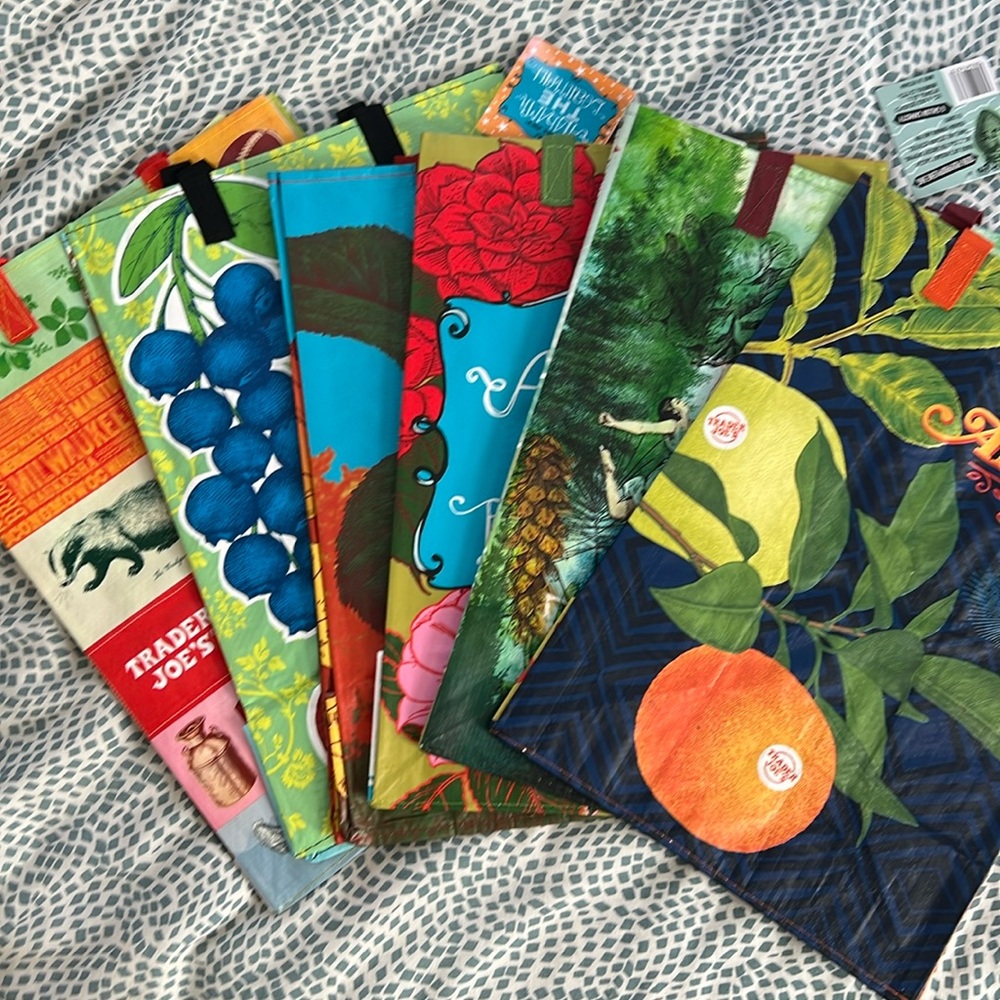 TRADER JOES MYSTERY BAGS  set of (6) 2024